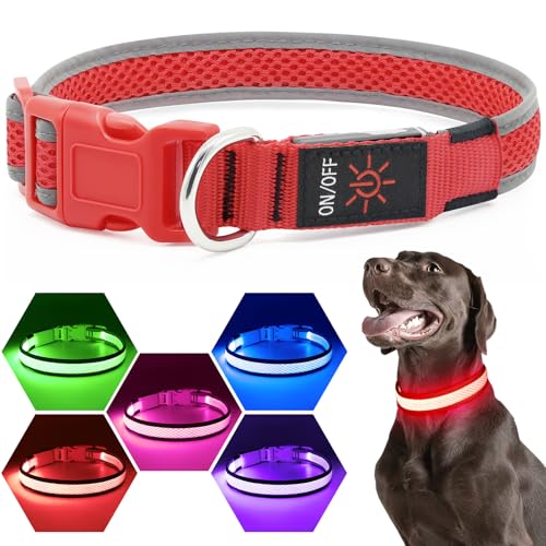 Flashseen LED Dog Collar, Light Up Dog Collar USB Rechargeable, Red, S - color: Red, size: Small