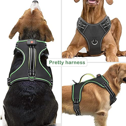 Light Up Dog Harness, Rechargeable LED Dog Vest for Night Walking - color: Black-Green, size: M