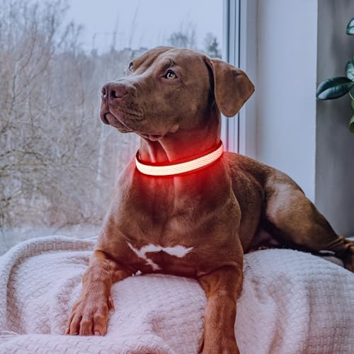 Flashseen LED Dog Collar, Light Up Dog Collar USB Rechargeable, Red, S - color: Red, size: Small