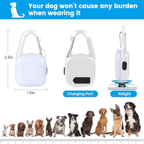 Dog Collar Light, 2 Pack Rechargeable Dog Light Clip On, 80LM Brightness 4 Color Modes Dogs Lights for Night Walking, Waterproof Pet Camping Essentials for Running, Cycling, Hiking (White)
