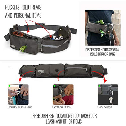 TAKSIN The Ultimate Hands Free Two Dogs Double Leash System for Walking Running Hiking Training, Reflective Bungee Leash, Treat Holder, Poop Bag Dispenser Small Medium Large Dogs (Grey Deluxe Pack) - color: Grey, size: Two Dogs