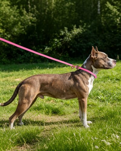 Dog Leash Slip Lead Braided Rope Pet Training Loop Leashes 5ft 6ft 8ft - color: Pink
