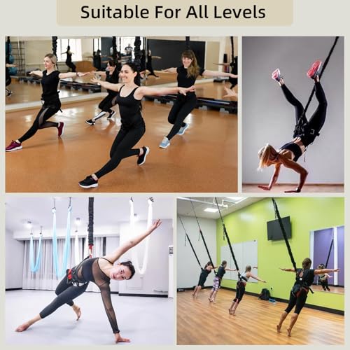 Bungee Fitness Set,CE Certified 6 Sizes(88-220 lbs)Bungee Cord Kit - size: XXL 198-220 lbs