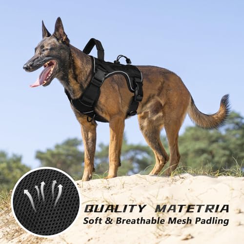 WINGOIN Black Tactical Dog Harness for Small Dogs,No Pull Dog Harness - color: Black, size: Small: 15-30 lbs (Chest:20-26",Neck:15-18")