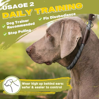 Fida Durable Slip Lead Dog Leash, 6 FT x 1/2" Dog Training Leash, Grey - color: Grey, size: Large (1/2" x 6 ft)