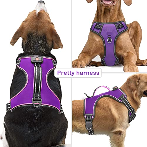 Light Up Dog Harness, Rechargeable LED Dog Vest for Night Walking - color: Purple-Pink, size: XL