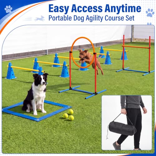 Junkin 27 Pcs Dog Agility Course Equipment Set, Blue