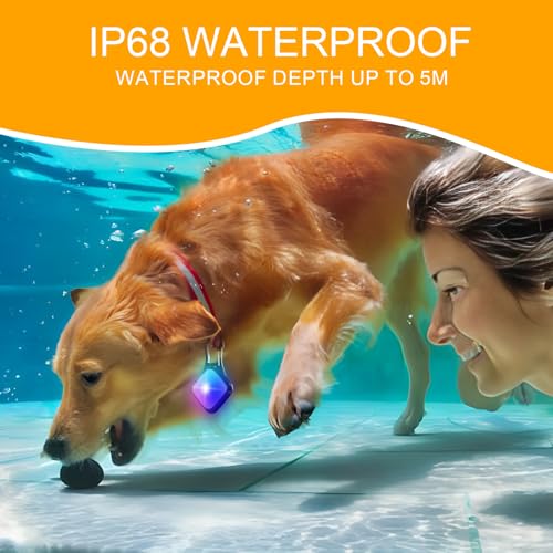 Dog Collar Light 4 Modes RGB Lights High Capacity USB Rechargeable Dog Light Waterproof for Night Walking(2 Pack Black) - color: Black
