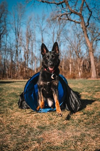 Better Sporting Dogs 16 Foot Dog Agility Tunnel
