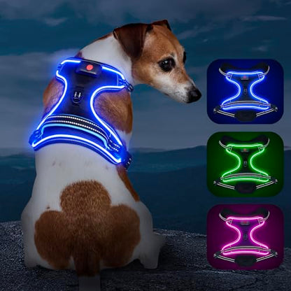 Light Up Dog Harness, Rechargeable LED Dog Vest for Night Walking - color: Black-Blue, size: S