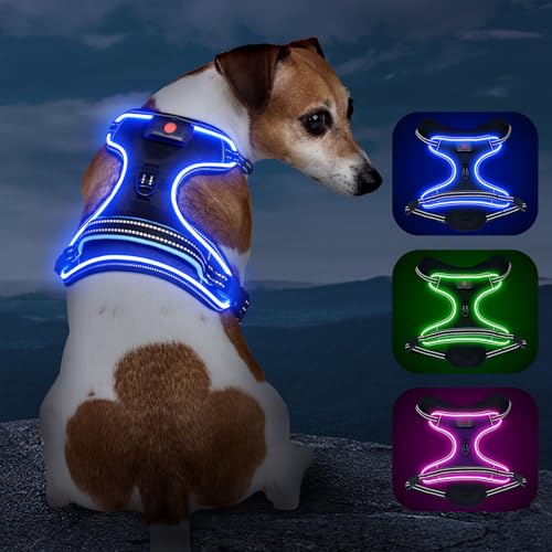 Light Up Dog Harness, Rechargeable LED Dog Vest for Night Walking - color: Black-Blue, size: S
