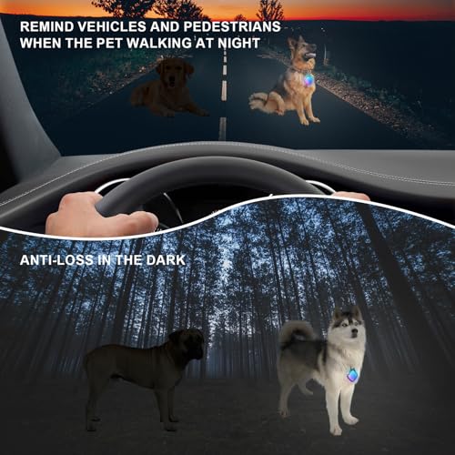 Dog Collar Light 4 Modes RGB Lights High Capacity USB Rechargeable Dog Light Waterproof for Night Walking(2 Pack Black) - color: Black