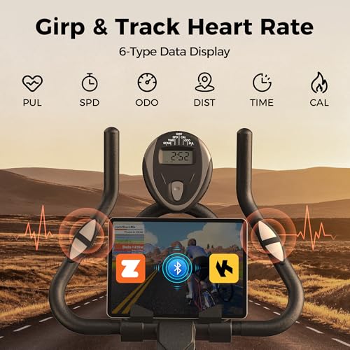 YOSUDA Exercise Bike, Magnetic Friction Stationary Bike with App Training - color: Orange Silver