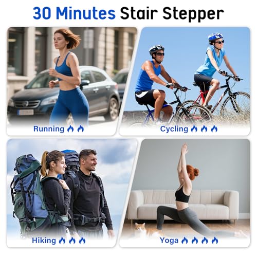 ERGOLIFE Stair Stepper with Adjustable Resistance, Stair Climber for Home