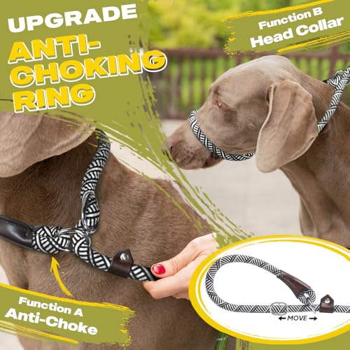 Fida Durable Slip Lead Dog Leash, 6 FT x 1/2" Dog Training Leash, Grey - color: Grey, size: Large (1/2" x 6 ft)
