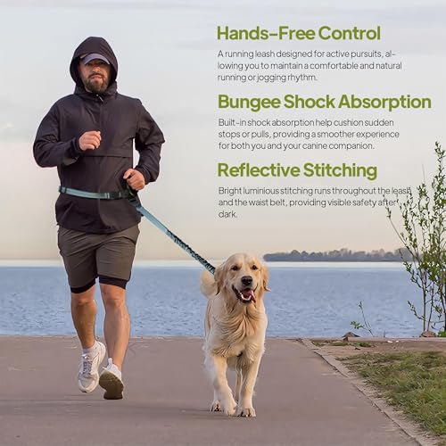 Hands Free Dog Leash with Zipper Pouch, Waist Leash for Dog Walking, Running and Hiking, Adjustable Belt with Handle, Reflective Bungee Design for Large & Medium Dogs