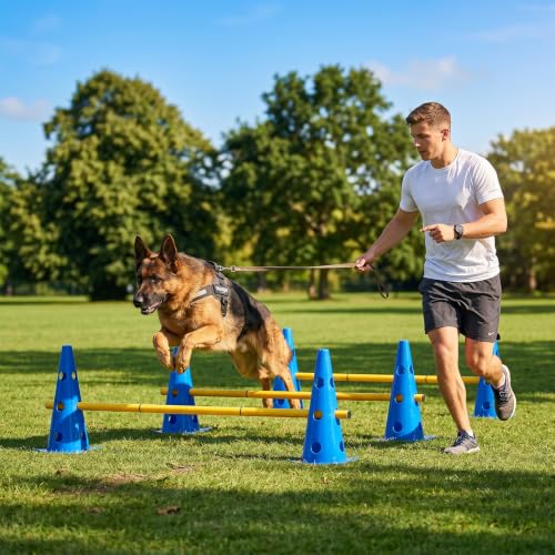 TrailBlaze Dog Agility Equipment Training Set, 12 Pack 32cm Plastic Agility Cones with 6 Adjustable Agility Jump Rods, for Puppy Medium Large Dogs Outdoor Backyard Exercise