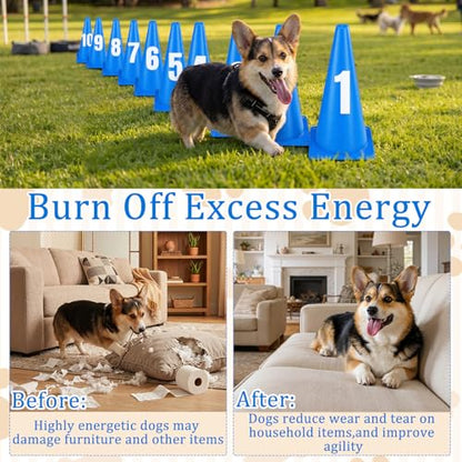 12 Inch Dog Agility Hurdle Cone Set with 10 Blue Training Cones 2 Number Stickers Distance Adjustable Dog Agility Course Backyard Equipment for Pet Obstacle Course for Obedience Rehabilitation Starter