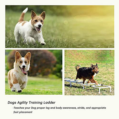 Dogs Agility Training Ladder, Pets Agility Training Equipment, Pet Outdoor Game