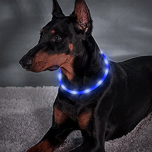 BSEEN Light Up Dog Collar, Cuttable LED Dog Collar Rechargeable Puppy Collar Glowing Safety Dog Walking Lights for Small Medium Large Dogs (Blue) - color: Blue-Standard(70cm)