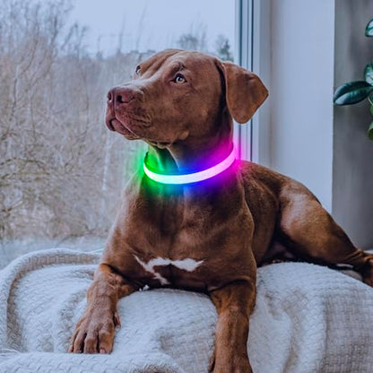 Flashseen Multicolor LED Light Up Dog Collar, RGB 9-Mode, USB Rechargable - color: White, size: Small