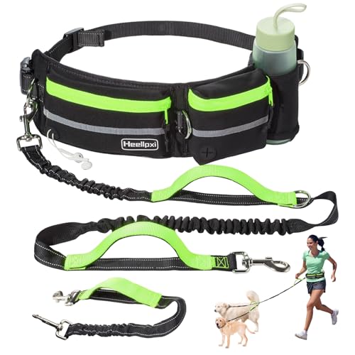 Hands-Free Waist Leash with Pouch for Two Dogs: Reflective Stitching, Dual Handle & Bungee Retractable Design – Ideal for Medium to Large Dogs (Green) – Dog Walking Accessories - color: Green