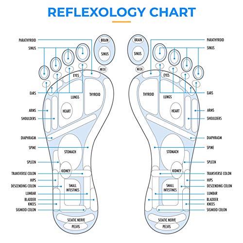Daiwa Felicity Foot Massager Mat - Reflexology Mat with Magnetic Therapy Acupressure Disc - Ergonomic Acupressure Mat for Feet Relaxation, Pressure Point Pad - (Blue) - color: Blue