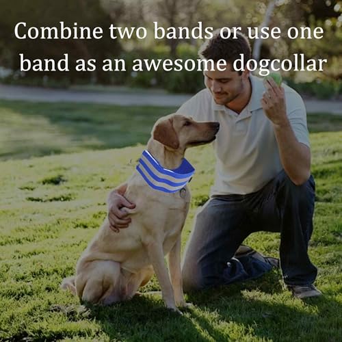 Reflective Bands for Arm - color: Blue