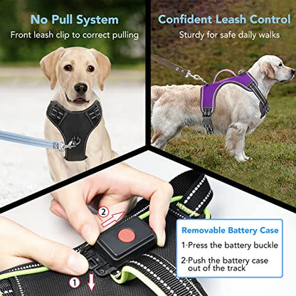 Light Up Dog Harness, Rechargeable LED Dog Vest for Night Walking - color: Purple-Pink, size: XL