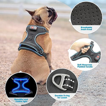 Light Up Dog Harness, Rechargeable LED Dog Vest for Night Walking - color: Black-Blue, size: S