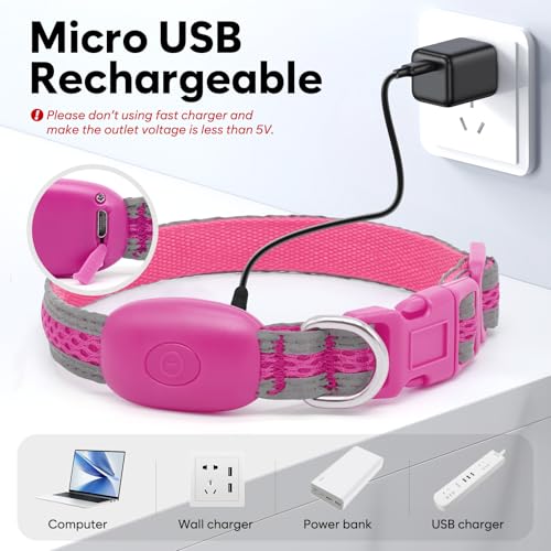Flashseen LED Dog Collar, Light Up Dog Collar USB Rechargeable, Pink, XS - color: Pink, size: X-Small