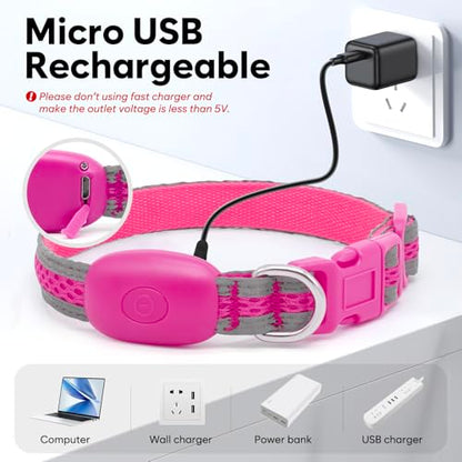 Flashseen LED Dog Collar, Light Up Dog Collar USB Rechargeable, Pink, XS - color: Pink, size: X-Small