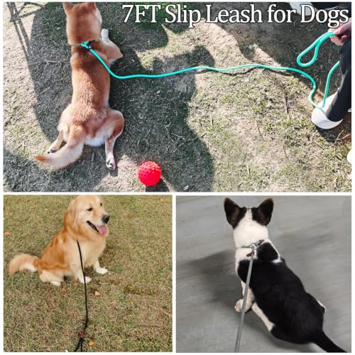 MayPaw Slip Lead Control Leash for Dogs No Pull, 13+ Colors Classic Dog Lead 7 FT Pet Slip Leash, 1/4” Rope Leashes for Small Medium Animals (7ft*1/4", Green) - color: green