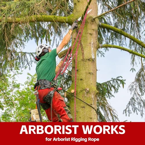1/2in x 150ft Double Braided Arborist Rigging Rope, 48 Strands Polyester 8000LBS Heavy Duty Climbing Bull Rope for Tree Swing Rappelling Rescue Camping - size: 1/2in x 150ft, style: Red