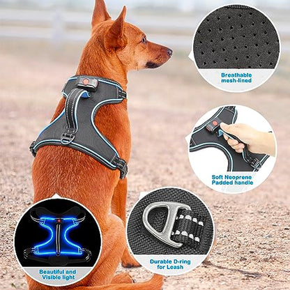 Light Up Dog Harness, Rechargeable LED Dog Vest for Night Walking - color: Black-Blue, size: M