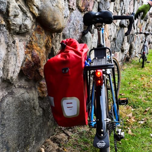 Planet Bike Superflash 65 Bike Tail Light,Red/black
